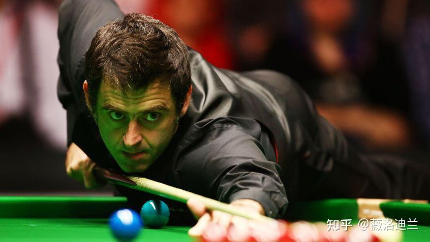 而他们今年 而他们今年