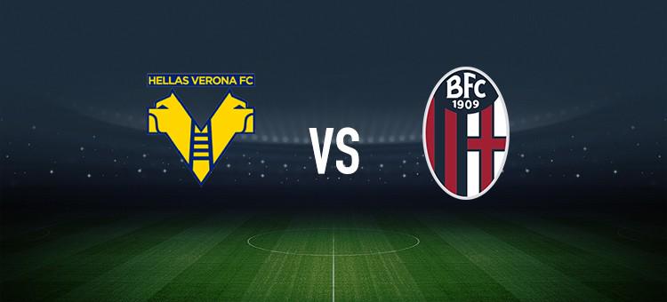 实现共同发 实现共同发